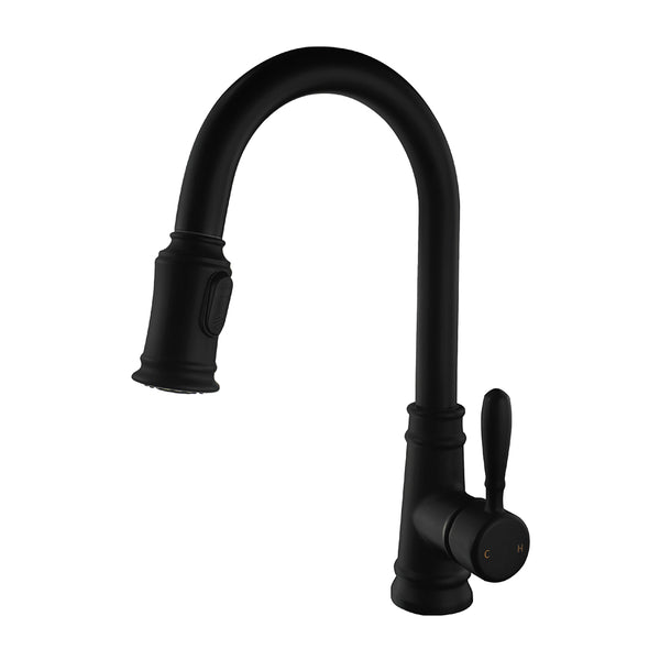 Single handle matte black kitchen faucet